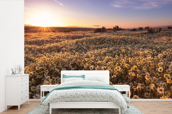 Champ de fleurs vallonné au crépuscule 390x260 cm