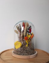 Droogbloemenboeket - Droogbloemen - Glazen stolp 25cm - Siem - Cadeautip