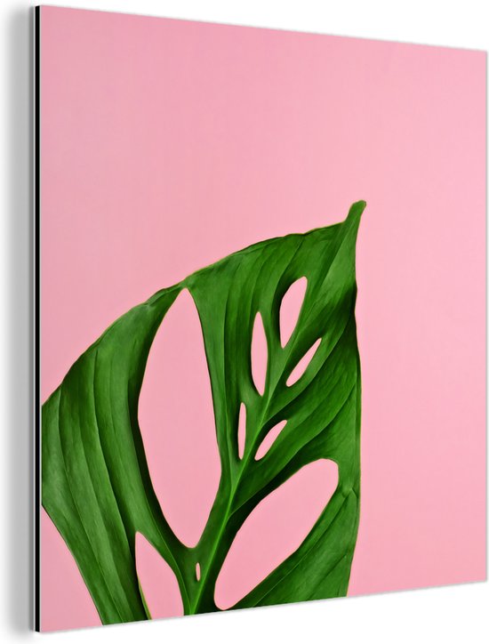 Wanddecoratie Metaal - Aluminium Schilderij - Botanisch blad op een roze achtergrond