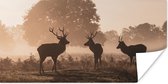 Poster Cerf - Brouillard - Forêt - 160x80 cm