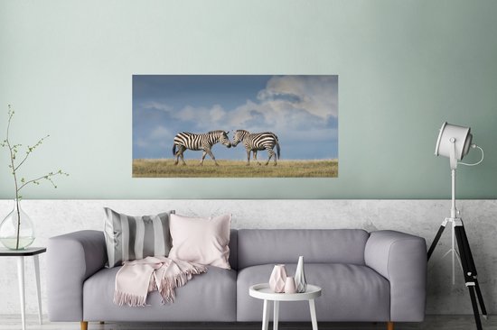 Poster photo Zèbres amoureux 90x60 cm - Tirage photo sur Poster (décoration murale salon / chambre) / Poster Animaux