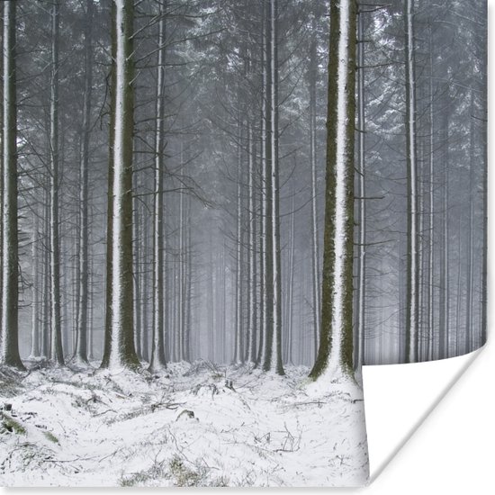 Poster Bomen - Winter - Sneeuw - 75x75 cm