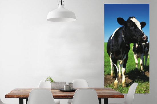 Affiche Vaches - Herbe - Animaux - 75x150 cm