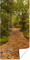 Poster Bos - Pad - Herfst - Bladeren - 20x40 cm