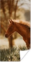 Poster Paard - Licht - Weide - 60x120 cm