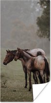 Poster Paarden - Natuur - Mist - 75x150 cm