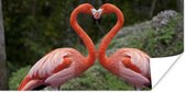 Poster Twee flamingo's vormen een hart - 80x40 cm