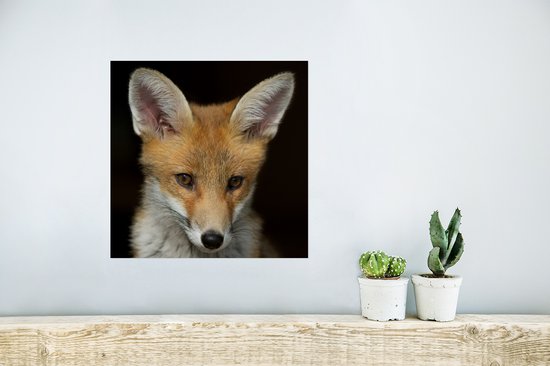 Affiche Renard - Portrait - Zwart - 30x30 cm