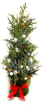 Kerstboom Compleet met Lichtjes, Dennenappels en versiering! 60 cm [Kerstmis - Winter - Feestdagen - Hygge - Cozy - Chic - Slow Living]