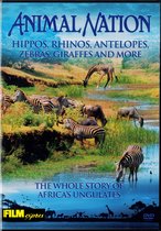 Hippos, Rhinos, Antelopes