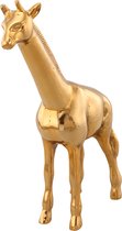 Decoratie Giraffe 35x12.5x44 cm goud