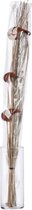 Giftdecor Droogbloemen Waaier 100 Cm Naturel/bruin