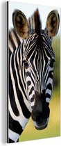 Wanddecoratie Metaal - Aluminium Schilderij Industrieel - Close-up zebra - 40x80 cm - Dibond - Foto op aluminium - Industriële muurdecoratie - Voor de woonkamer/slaapkamer