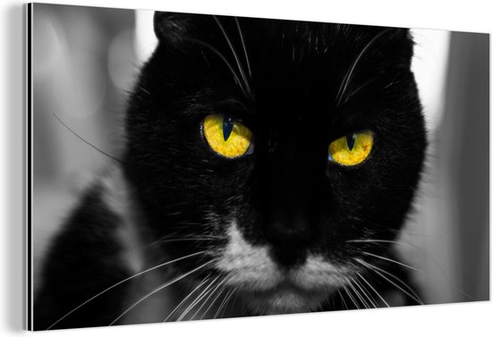 Wanddecoratie Metaal - Aluminium Schilderij - Zwart-wit foto van de kop van een zwarte kat met gele ogen