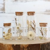 Set de 4 Verres en verre avec fleurs séchées et liège - Bouquet de Fleurs séchées en verre - 4 pièces - Fleurs séchées avec vase - Décoration Fleurs séchées - Naturel