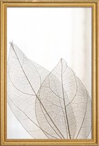 JUNIQE - Poster met houten lijst Skeleton Leaves -40x60 /Ivoor