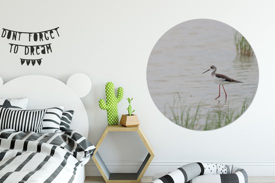 Echasse à ailes noires patauge en eau peu profonde Cercle mural aluminium ⌀ 120 cm - tirage photo sur cercle mural / cercle vivant / cercle jardin (décoration murale) XXL / Groot format!