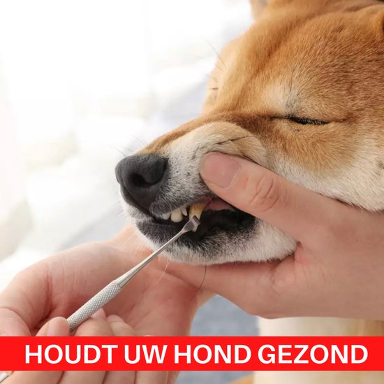 Foto: Pro3000 tandsteen verwijderaar hond en kat tandenkrabber tandplak