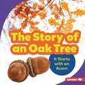 The Story of an Oak Tree