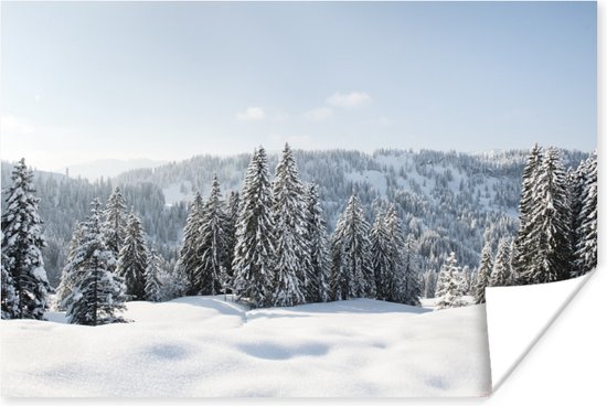 Poster Besneeuwde bomen in de bergen