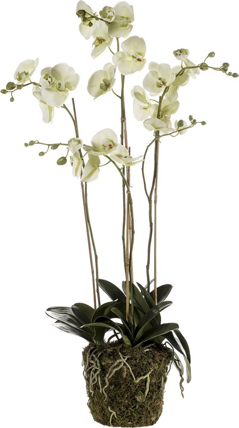 Kunstbloem Orchidee mos 105cm groen