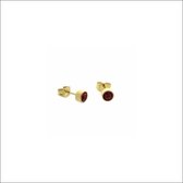Aramat jewels ® - Zweerknopjes rood kristal goudkleurig chirurgisch staal 5mm