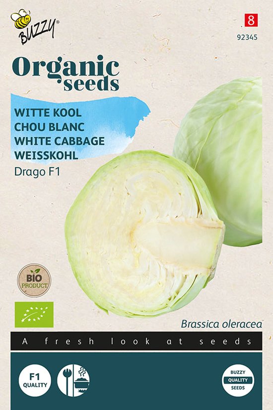 Buzzy® Organic Witte Kool Drago F1 (BIO) - biologisch groentezaad