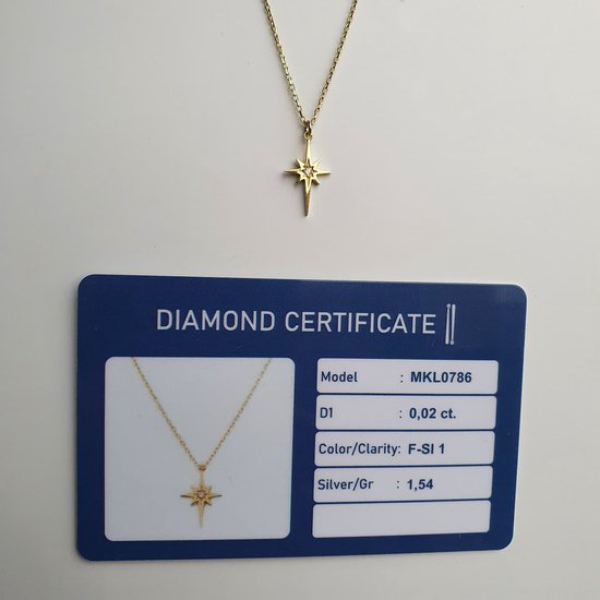 Rosa Jewellery Mini collier en argent Étoile du Nord avec diamant