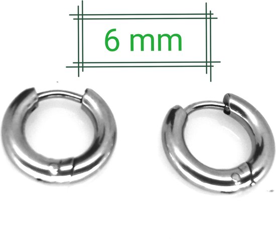 Mini Oorringen 6mm - Chirurgisch staal – Zilverkleur, Zeer geschikt voor : 2e en 3e gaatje – Tragus -  Helix echte blikvanger voor je oren.