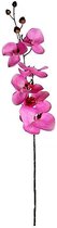 Orchidee - Roze - 75cm
