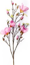 Magnolia - Roze - 110cm