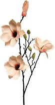 Magnolia - Soft zalm - 80cm