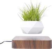 Vitafa Zwevende Bloempot - Zwevende Plantenpot - Decoratie - Interieur - Donkerbruine bodem - Witte plantenpot