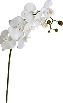 Orchidee - Wit - 100cm