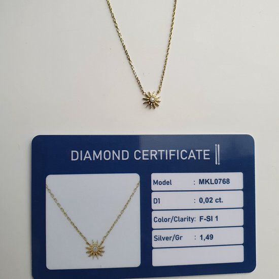 Collier Rosa Jewels Mini Sun en argent avec diamant