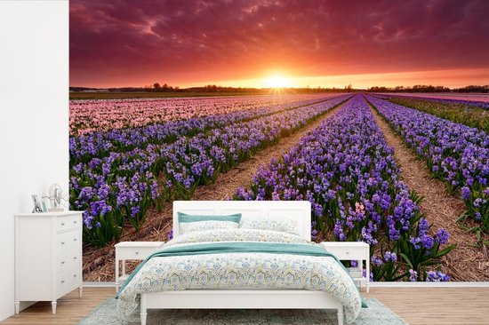 Papier peint photo peint vinyle - Jacinthes en paysage hollandais largeur 420 cm x hauteur 280 cm - Tirage photo sur papier peint (disponible en 7 tailles)