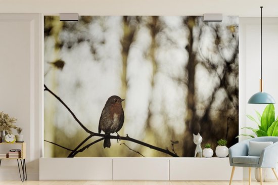 Robin sur une branche dans la nature 385x280 cm