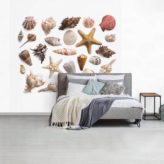 Sélection de coquillages et de fotobehang étoiles de mer