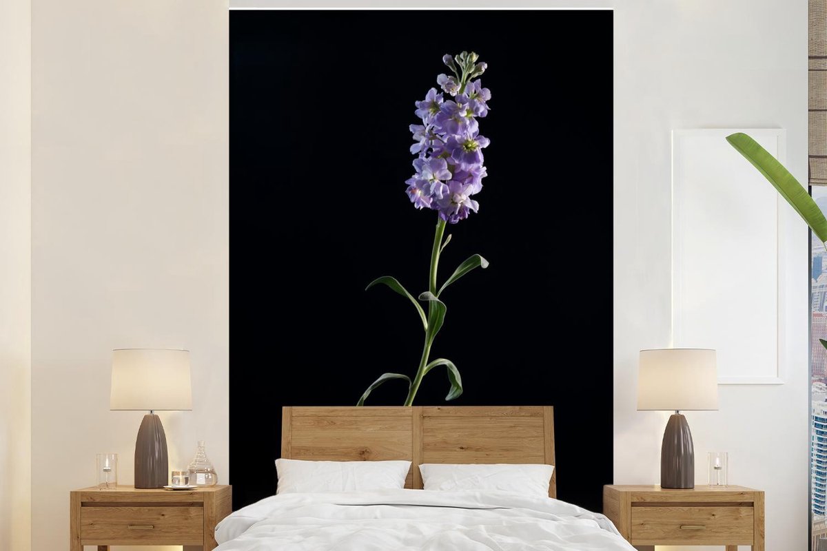 Behang - Fotobehang Een paars gekleurde violette op een zwarte achtergrond - Breedte 225 cm x hoogte 350 cm