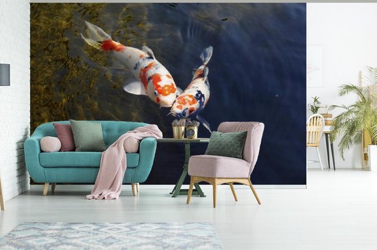 Papier peint photo peint photo vinyle - Deux carpes koï dans l'eau largeur 450 cm x hauteur 300 cm - Tirage photo sur papier peint (disponible en 7 tailles)
