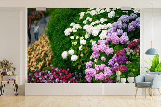 Papier Peint - Papier peint photo Vivid Hortensia Flowers - Largeur 525 cm x Hauteur 350 cm