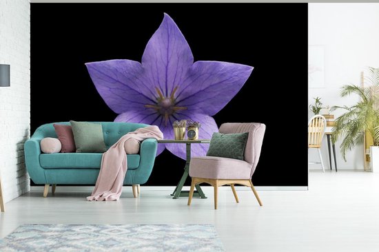 Papier Peint - Papier Papier peint photo Forme - Fleurs - Violet - Largeur 420 cm x Hauteur 280 cm