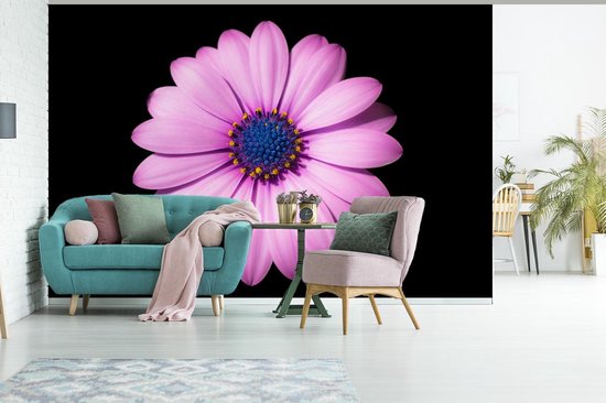 Papier peint photo peint photo vinyle - Marguerite rose sur fond noir largeur 600 cm x hauteur 400 cm - Tirage photo sur papier peint (disponible en 7 tailles)