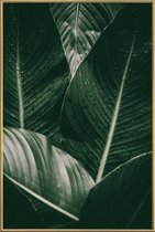 JUNIQE - Poster met kunststof lijst Palm Drops -40x60 /Grijs & Ivoor