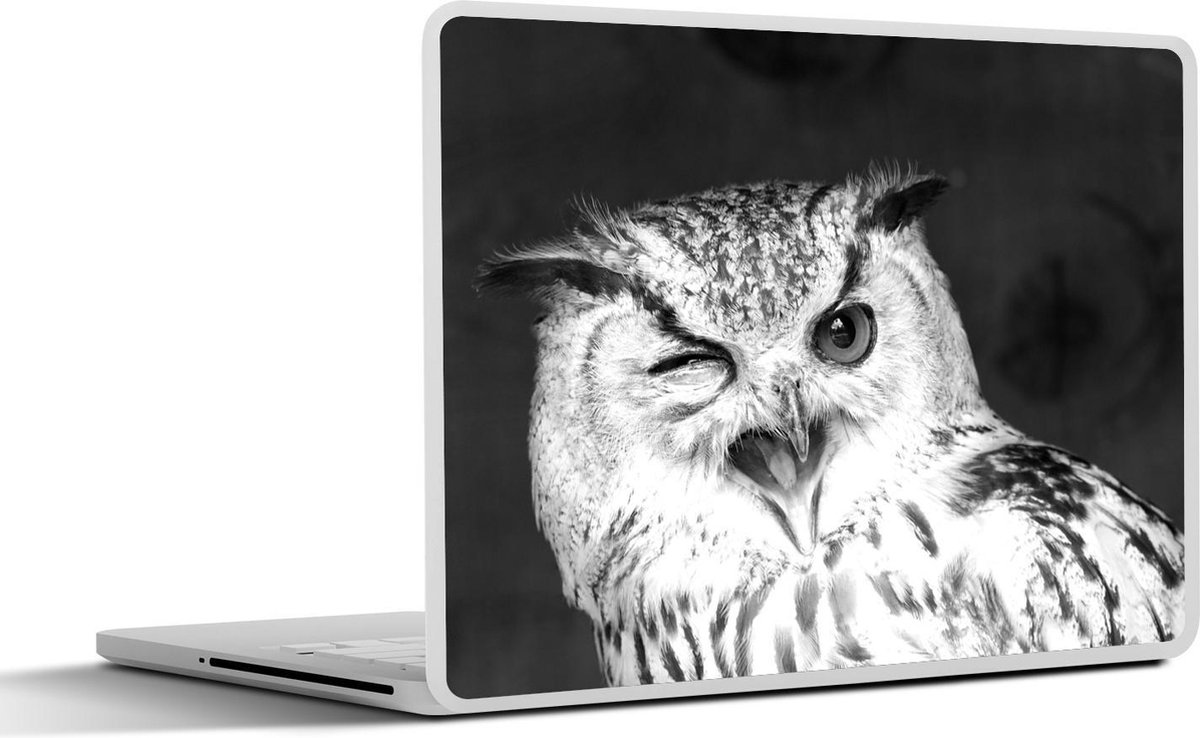 Laptop sticker - 15.6 inch - Deze bruine uil knipoogt naar de camera - zwart wit - 36x27,5cm - Laptopstickers - Laptop skin - Cover