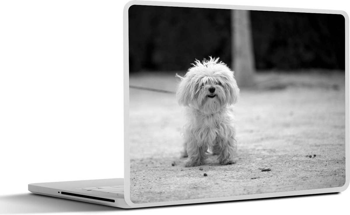 Afbeelding van product SleevesAndCases  Laptop sticker - 14 inch - Een Maltezer hond wordt uitgelaten - zwart wit