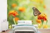 Behang - Fotobehang Monarchvlinder op bloem - Breedte 420 cm x hoogte 280 cm