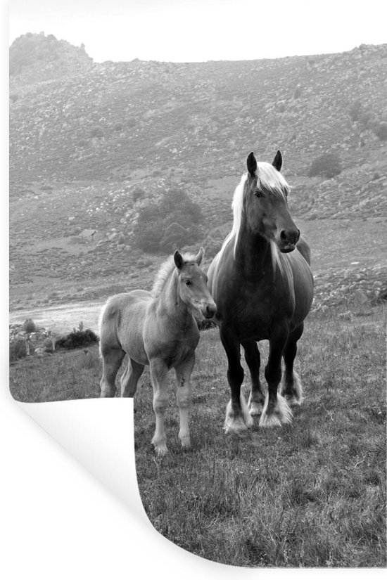 Muurstickers - Sticker Folie - Haflinger paard en haar veulen - zwart wit - 80x120 cm - Plakfolie - Muurstickers Kinderkamer - Zelfklevend Behang - Zelfklevend behangpapier - Stickerfolie