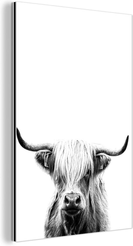 Wanddecoratie Metaal - Aluminium Schilderij Industrieel - Schotse hooglander op een witte achtergrond - zwart wit - 20x30 cm - Dibond - Foto op aluminium - Industriële muurdecoratie - Voor de woonkamer/slaapkamer