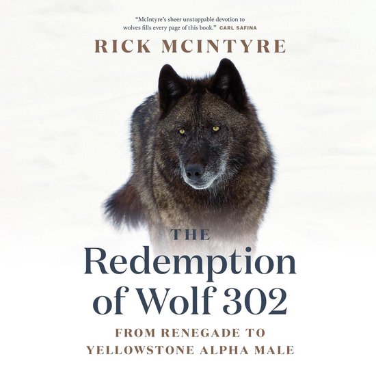 The Redemption of Wolf 302 - cover